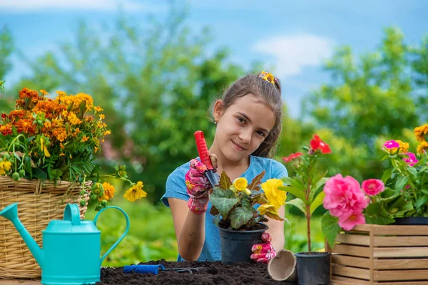 Child Planting Flowers Garden Selective Focus Kid — Photo