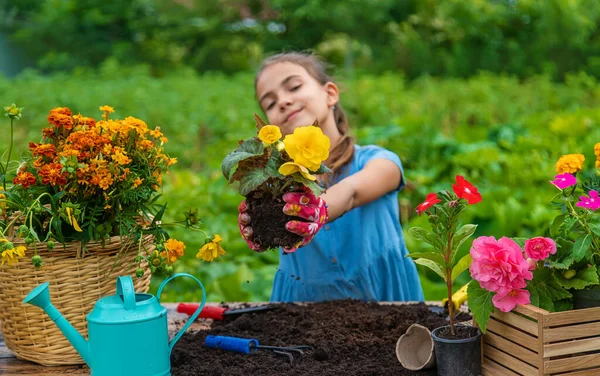 Child Planting Flowers Garden Selective Focus Kid — 스톡 사진