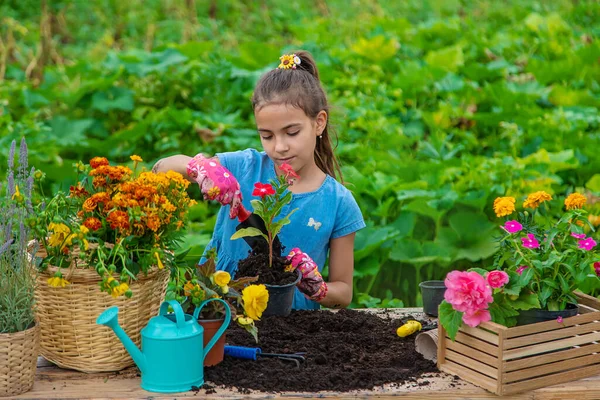 Child Planting Flowers Garden Selective Focus Kid — Stok Foto