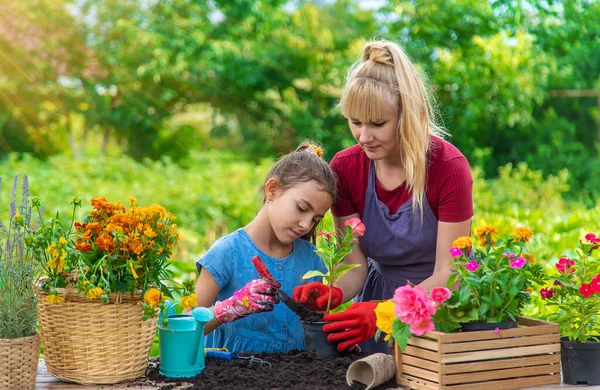Child Her Mother Planting Flowers Garden Selective Focus Kid — Zdjęcie stockowe