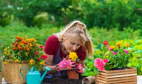 Woman Planting Flowers Garden Selective Focus People — 스톡 사진