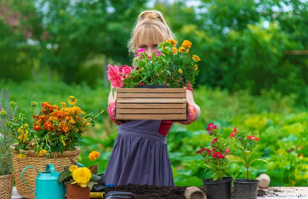 Woman Planting Flowers Garden Selective Focus People — Stockfoto