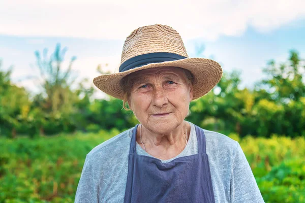 Portrait Grandmother Garden Selective Focus People — Stockfoto