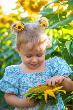 A child in a field of sunflowers. Ukraine. Selective focus. Nature.