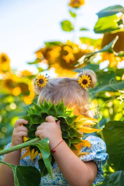 A child in a field of sunflowers. Ukraine. Selective focus. Nature.