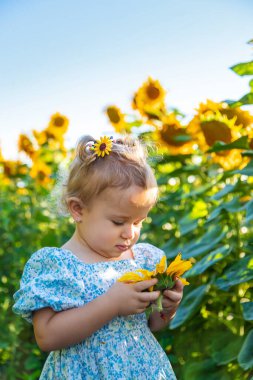 A child in a field of sunflowers. Ukraine. Selective focus. Nature.