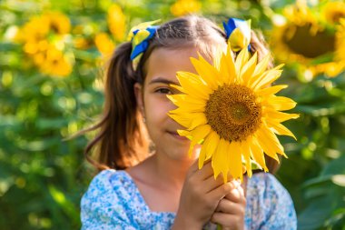 A child in a field of sunflowers. Ukraine. Selective focus. Nature.