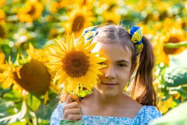 A child in a field of sunflowers. Ukraine. Selective focus. Nature.