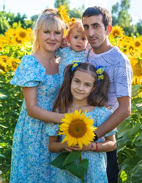 Family Photo Field Sunflowers Ukraine Selective Focus Nature — Foto Stock