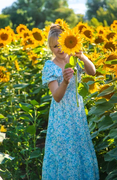 Woman Field Sunflowers Ukraine Selective Focus Nature — Stock Photo, Image