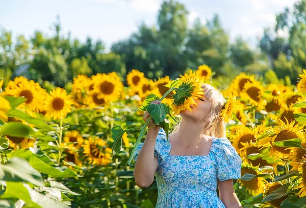 Woman Field Sunflowers Ukraine Selective Focus Nature —  Fotos de Stock