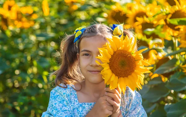 Дитина Полі Соняшників Україна Вибіркове Фокусування Природа — стокове фото