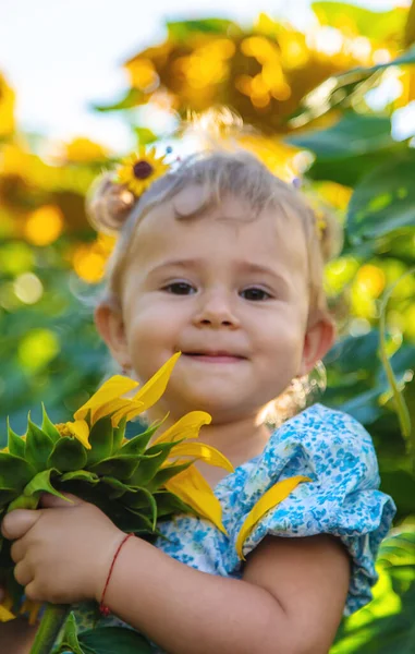 Child Field Sunflowers Ukraine Selective Focus Nature — Stok fotoğraf