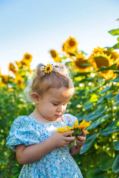 Child Field Sunflowers Ukraine Selective Focus Nature — Stok fotoğraf