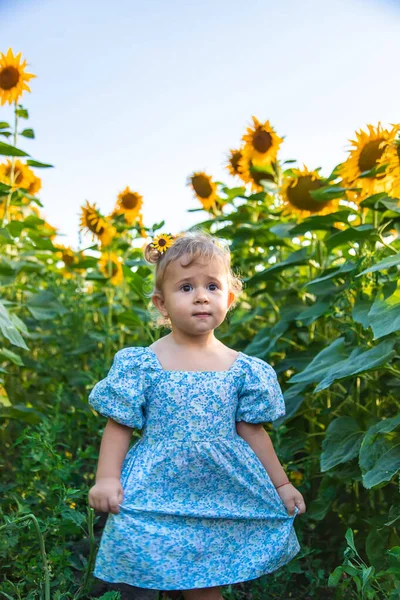 Child Field Sunflowers Ukraine Selective Focus Nature — Zdjęcie stockowe