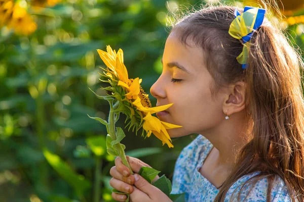 Child Field Sunflowers Ukraine Selective Focus Nature — Zdjęcie stockowe