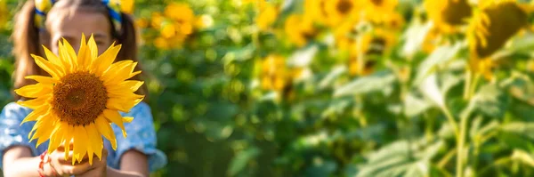 Child Field Sunflowers Ukraine Selective Focus Nature — Fotografia de Stock