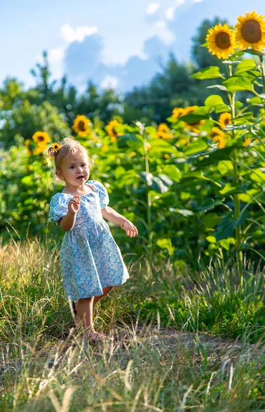Child Field Sunflowers Ukraine Selective Focus Nature —  Fotos de Stock