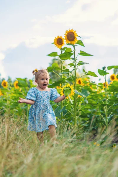 Child Field Sunflowers Ukraine Selective Focus Nature — Zdjęcie stockowe