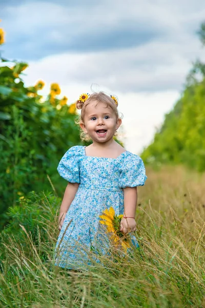 Child Field Sunflowers Ukraine Selective Focus Nature —  Fotos de Stock