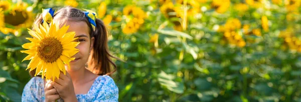 Child Field Sunflowers Ukraine Selective Focus Nature — ストック写真