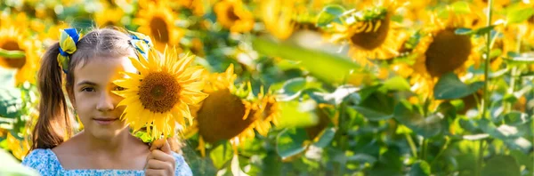 Child Field Sunflowers Ukraine Selective Focus Nature — Stock Fotó