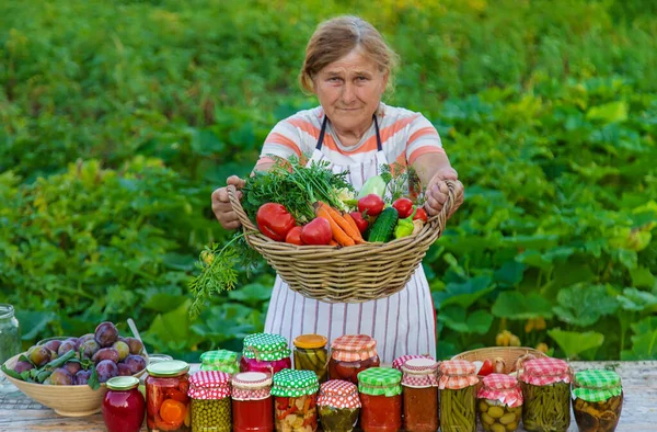 Senior Woman Preserving Vegetables Jars Selective Focus Food — Stock Photo, Image