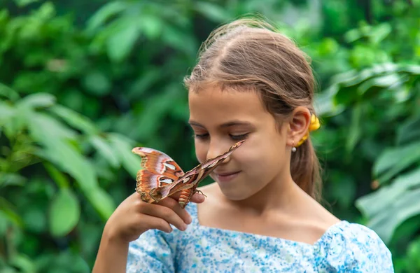 Child holds a butterfly on their hand. Coscinocera hercules. Selective focus. Kid.