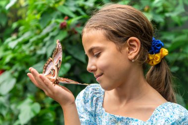Child holds a butterfly on their hand. Coscinocera hercules. Selective focus. Kid.
