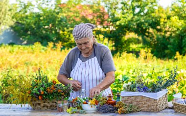 Grandmother makes tinctures from medicinal herbs. Selective focus. People.