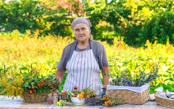 Grandmother Makes Tinctures Medicinal Herbs Selective Focus People — Stockfoto