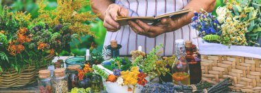 Grandmother makes tinctures from medicinal herbs. Selective focus. People.