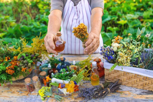 Grandmother Makes Tinctures Medicinal Herbs Selective Focus People — Fotografia de Stock