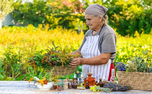 Grandmother Makes Tinctures Medicinal Herbs Selective Focus People — Stock Photo, Image