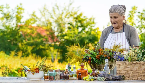 Grandmother Makes Tinctures Medicinal Herbs Selective Focus People — Stock Photo, Image