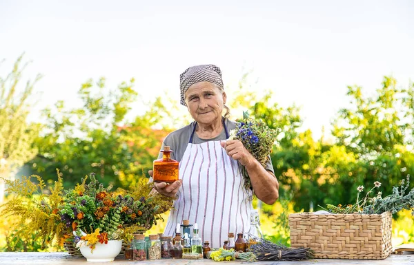 Grandmother Makes Tinctures Medicinal Herbs Selective Focus People — Stock fotografie