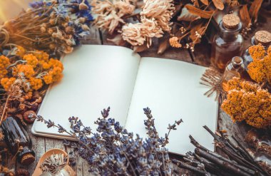 Medicinal herbs and tinctures homeopathy. Selective focus. Nature.
