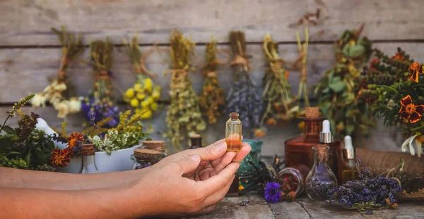 Medicinal Herbs Tinctures Homeopathy Selective Focus Nature — Fotografia de Stock
