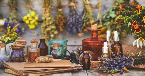 Medicinal Herbs Tinctures Homeopathy Selective Focus Nature — ストック写真