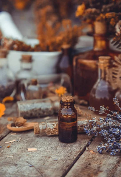 Medicinal Herbs Tinctures Homeopathy Selective Focus Nature —  Fotos de Stock