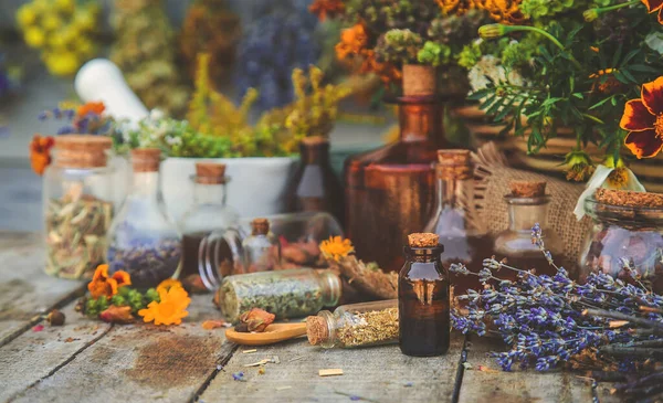 Medicinal Herbs Tinctures Homeopathy Selective Focus Nature — Foto Stock