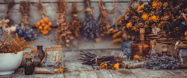 Medicinal Herbs Tinctures Homeopathy Selective Focus Nature — Fotografia de Stock