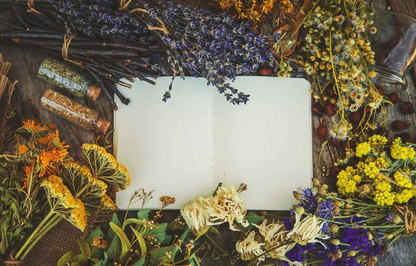 Medicinal herbs and tinctures homeopathy. Selective focus. Nature.