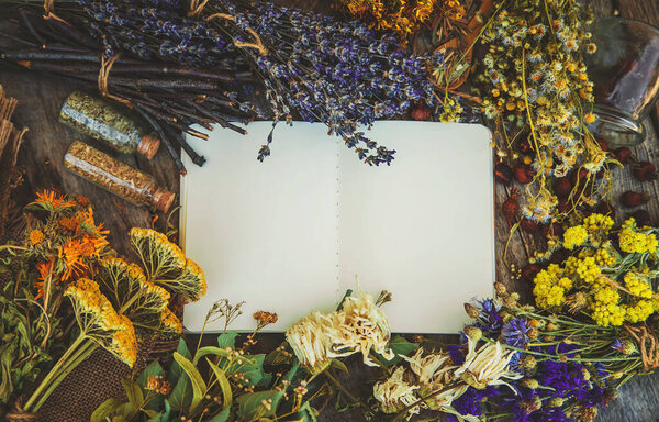 Medicinal herbs and tinctures homeopathy. Selective focus. Nature.