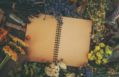 Medicinal herbs and tinctures homeopathy. Selective focus. Nature.