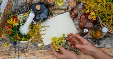 Medicinal herbs on the table. Place for notepad text. Selective focus. Nature.