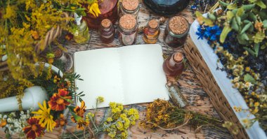 Medicinal herbs on the table. Place for notepad text. Selective focus. Nature.