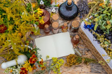 Medicinal herbs on the table. Place for notepad text. Selective focus. Nature.