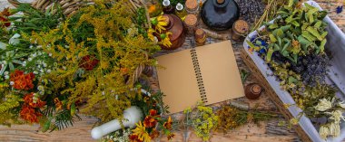 Medicinal herbs on the table. Place for notepad text. Selective focus. Nature.