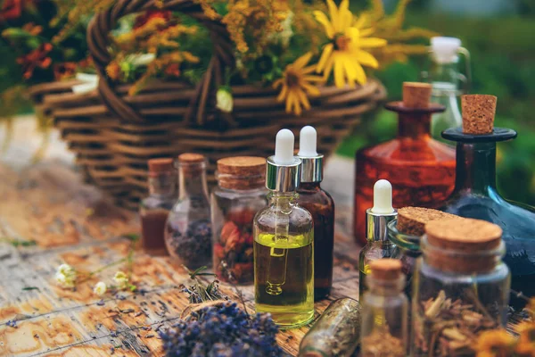 Medicinal Herbs Tinctures Table Selective Focus Nature — 图库照片